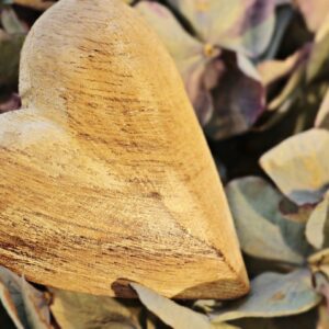 heart, wooden heart, hydrangea-2945369.jpg